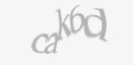 Защитный код